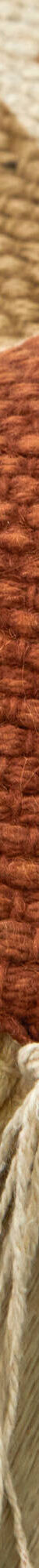 Rechthoekig tapijtje met grafische print (naturel / terracotta) Rechthoekig tapijtje met grafische print (naturel / terracotta)
